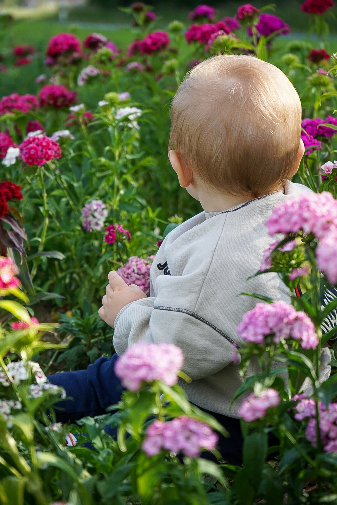 Kind im Blumenfeld
